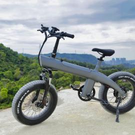 EU Us Warehouse 2023 Best Ebike High Power 750W 48V
