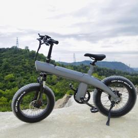 High power Electric Bike 750W